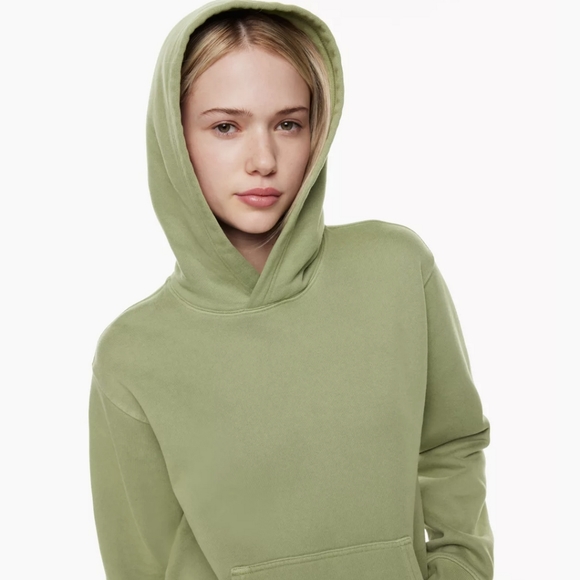 NWT TNA Cozy Fleece Boyfriend Zip Hoodie in GD Sage Frost - Picture 6 of 6